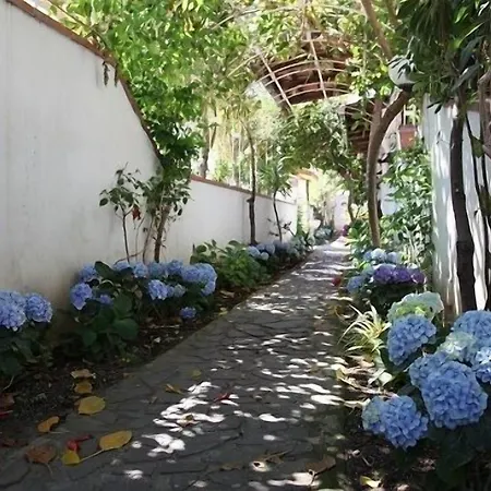 All'antico Pozzo 巴塞罗纳-波佐戈托